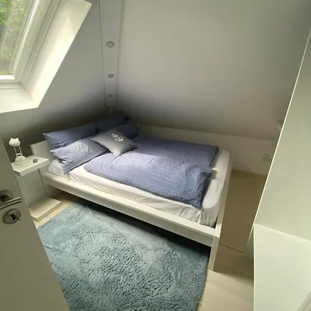 Frers * Rallenbuschen